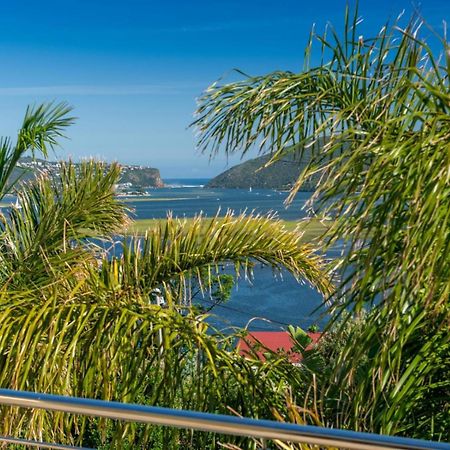 Guest House The Lazy Lion Knysna Ngoại thất bức ảnh