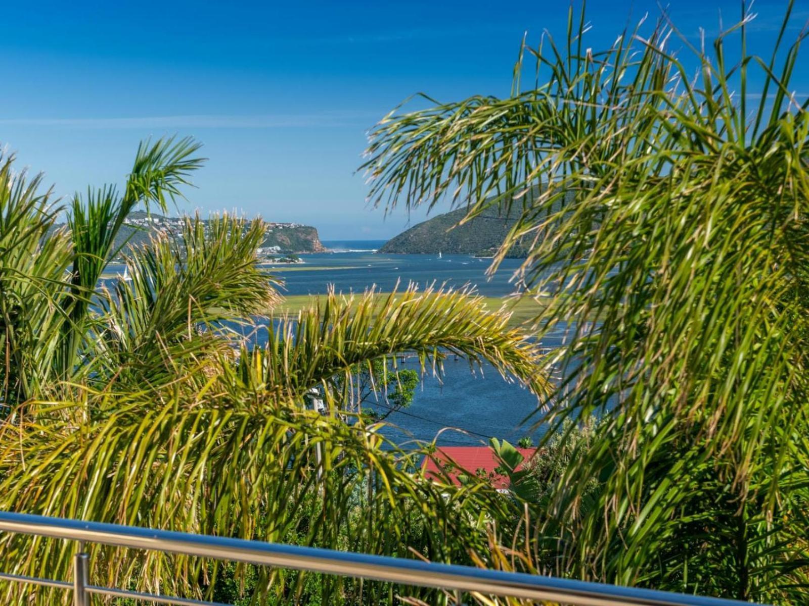 Guest House The Lazy Lion Knysna Ngoại thất bức ảnh