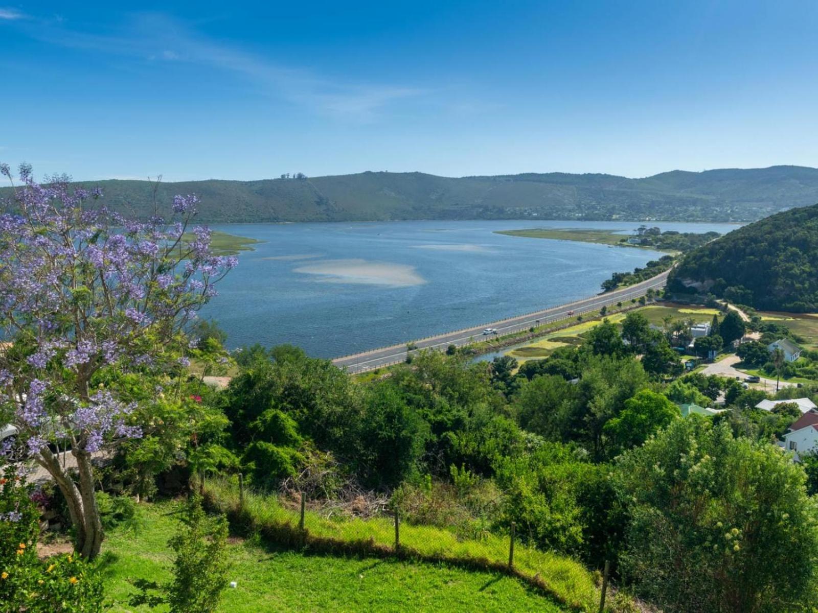 Guest House The Lazy Lion Knysna Ngoại thất bức ảnh