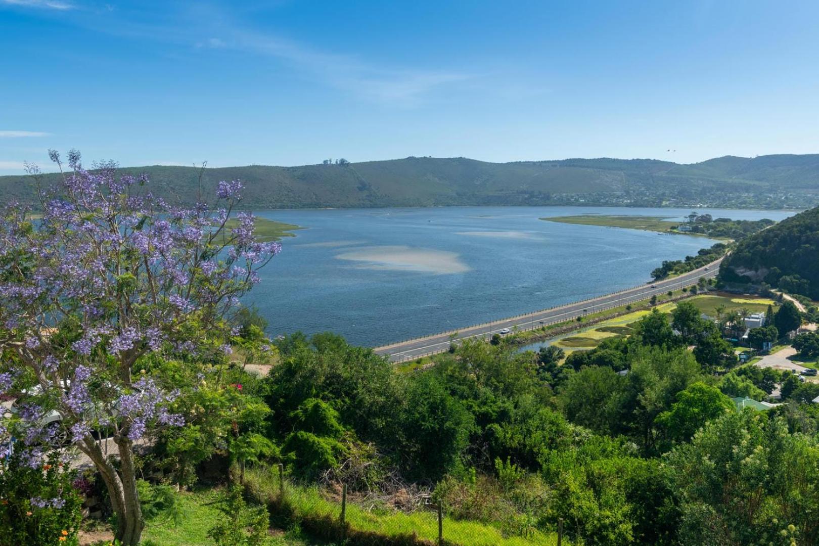 Guest House The Lazy Lion Knysna Ngoại thất bức ảnh