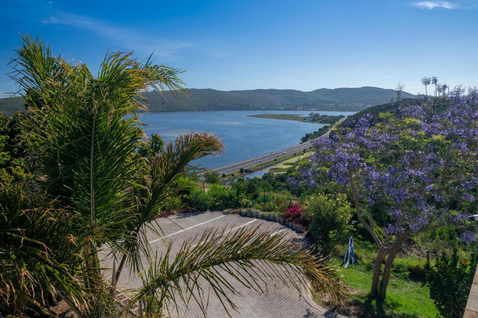 Guest House The Lazy Lion Knysna Ngoại thất bức ảnh